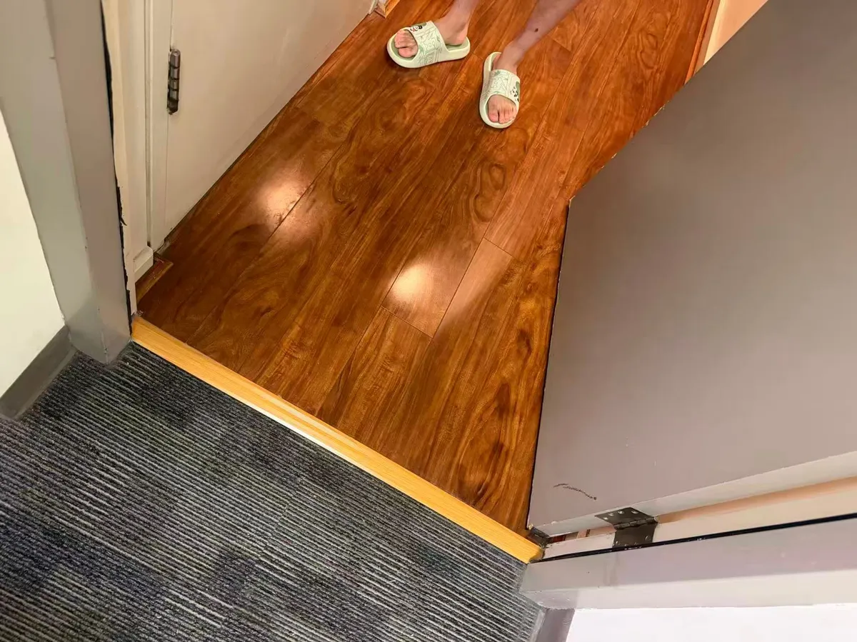 Door and floor transition detail
