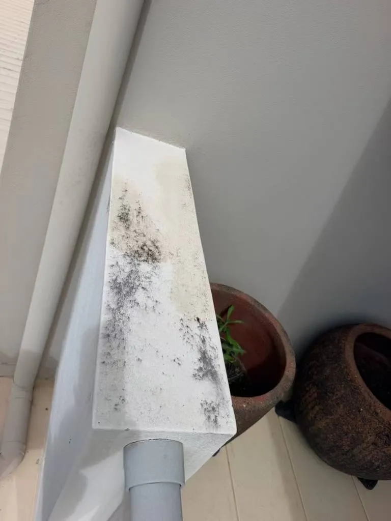 Before cleaning: dark deposits on exterior ledge